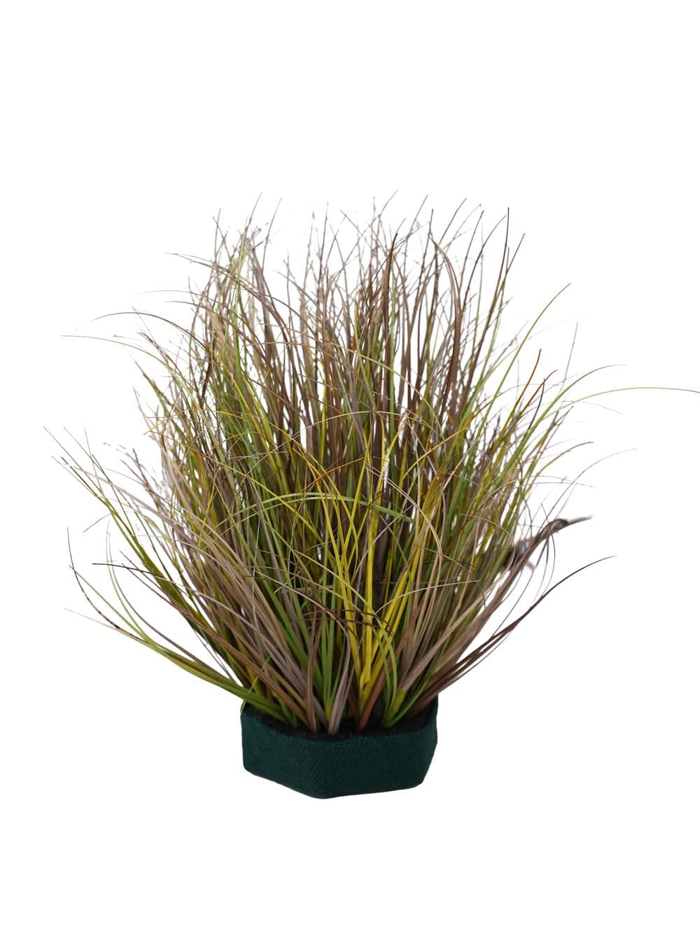 SN17831_Green Grass Variegated Bundle - 35cm - Set of 4_event_prop_hire_EPH_Creative (7) copy _optimised
