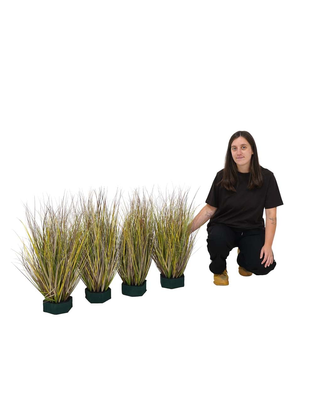 SN17833_Green Grass Variegated Bundle - 66cm - Set of 4_event_prop_hire_EPH_Creative (1) copy _optimised