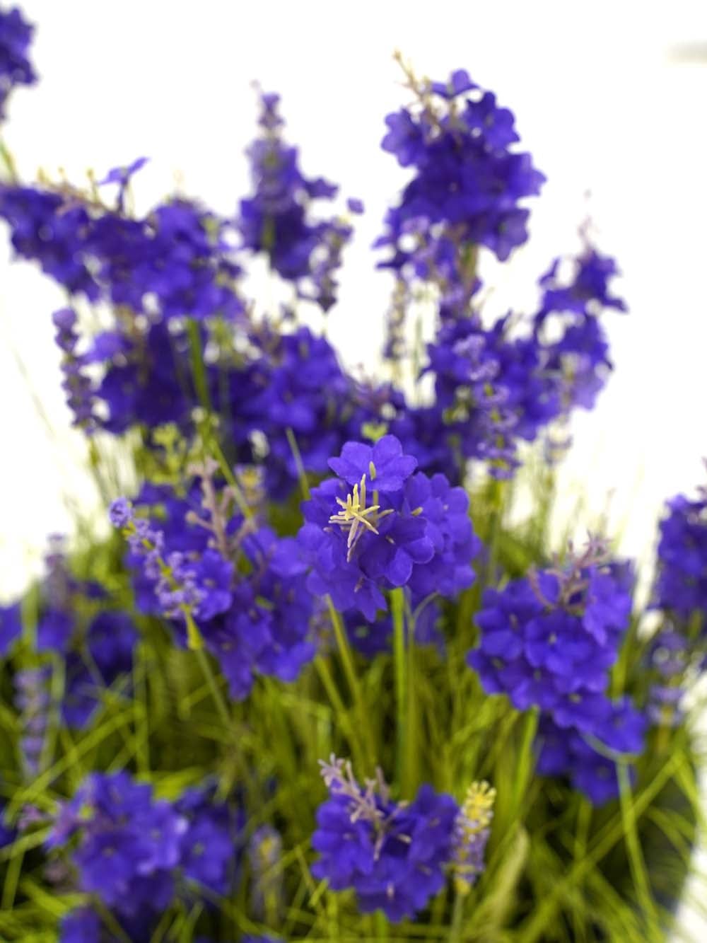 SN17946_Wildflowers in Half Barrel Planter - Lavender_event_prop_hire_EPH_Creative (2) copy _optimised